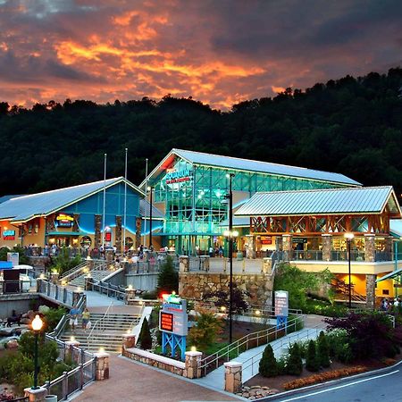The Solstice - Amenities Galore Mountain Retreat Gatlinburg Exteriör bild